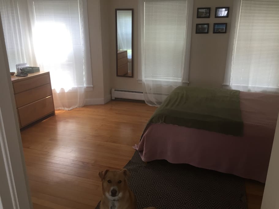 Large, beautiful bedroom with hardwood floors (dog not included)
