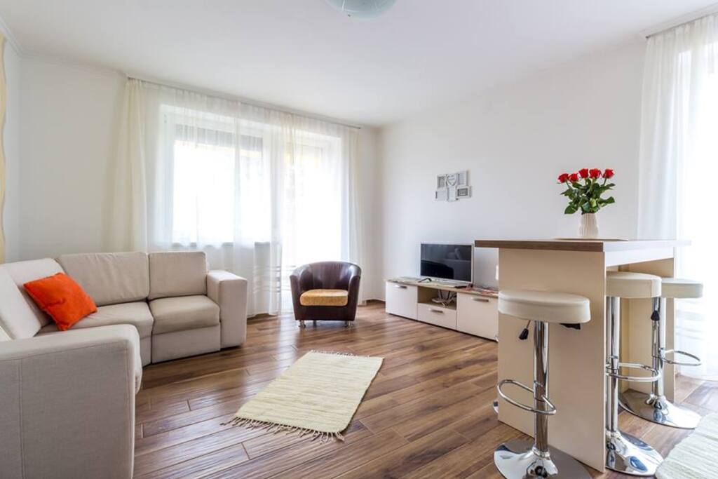 A nappaliban egy kihúzható kanapé 140 cm*200 cm, műholdas tv 1740 csatornával, ingyenes WIFI. – – itt: Aqualiget-Apartmanház