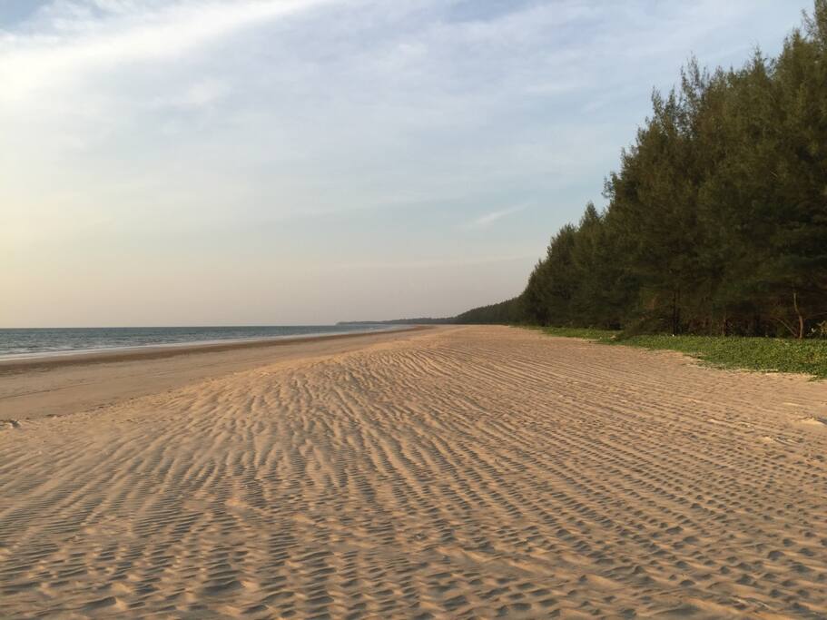 Deserted beach