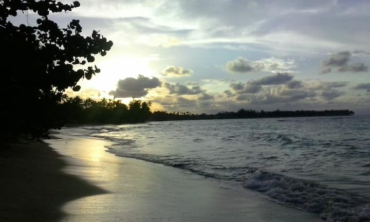 Rental unit in Las Terrenas · ★4.66 · 1 bedroom · 2 beds · 1 bath
