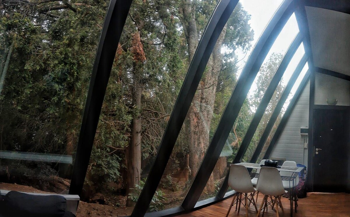 A sloped glass window creates a seamless connection with the surrounding forest, showcasing tall trees and natural greenery outside. A dining area with white chairs and a table is positioned on the interior side, inviting a relaxed atmosphere to enjoy meals amidst nature.