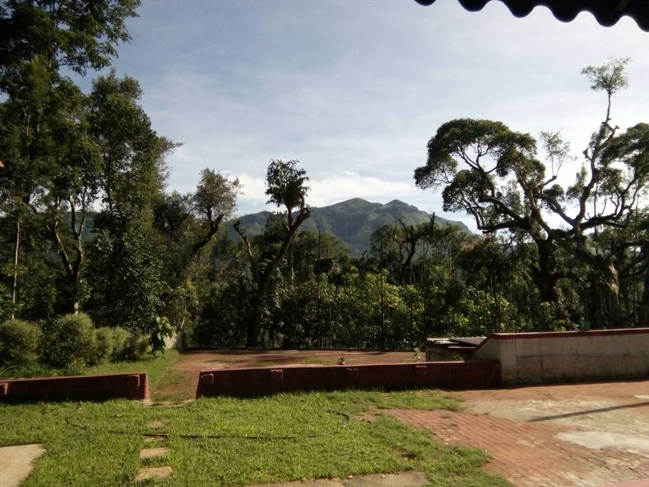 view from the house