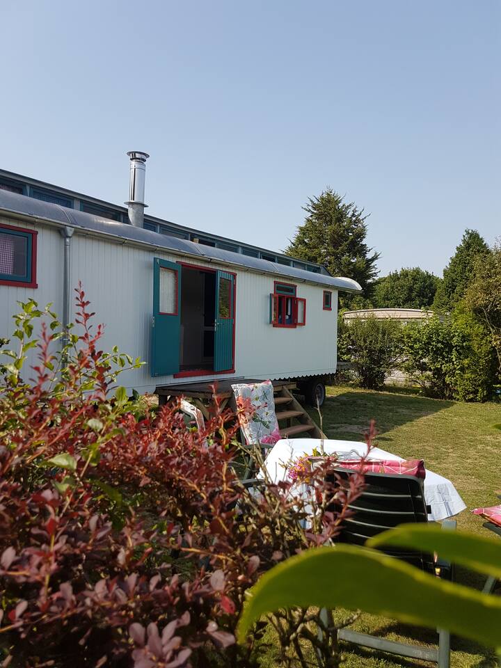 Cozy gypsy wagon in Oostvoorne - Tiny houses for Rent in Oostvoorne,  Zuid-Holland, Netherlands - Airbnb