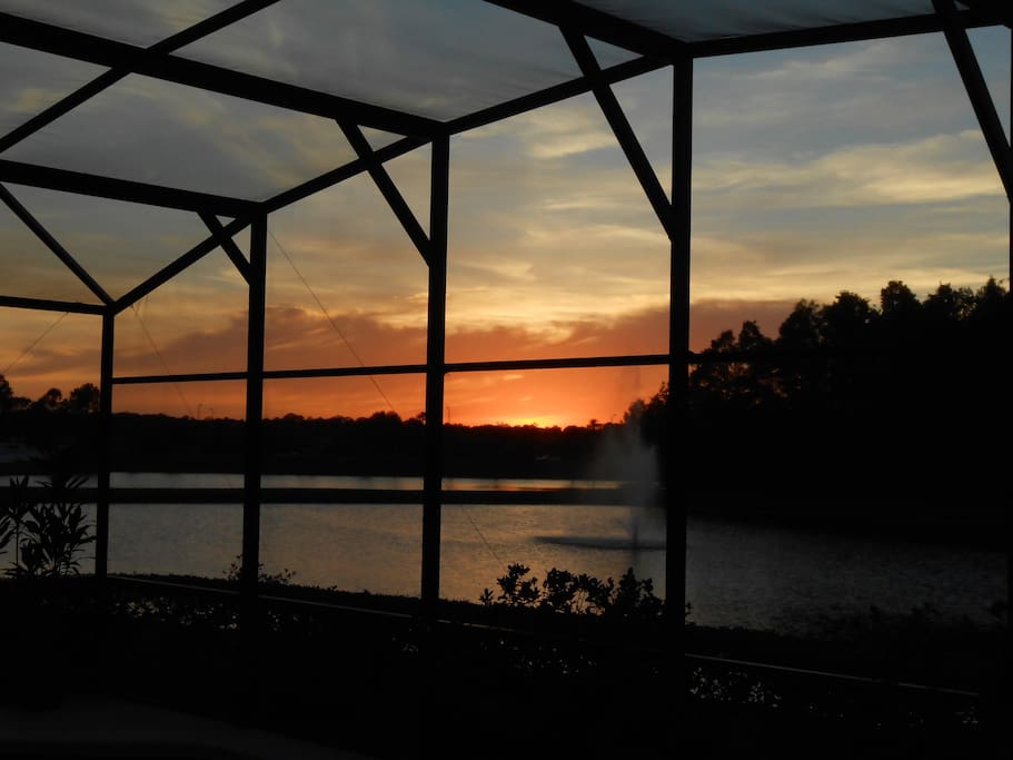 The view over the backyard pond.