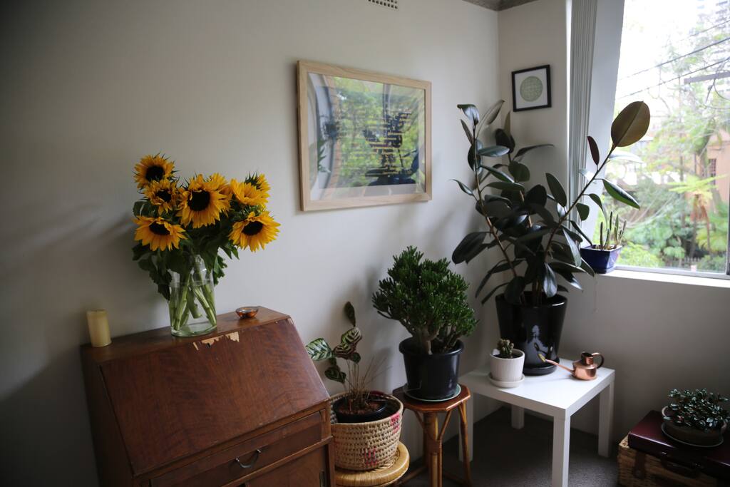 Sun drenched living space with large windows looking over the leafy street and galleries