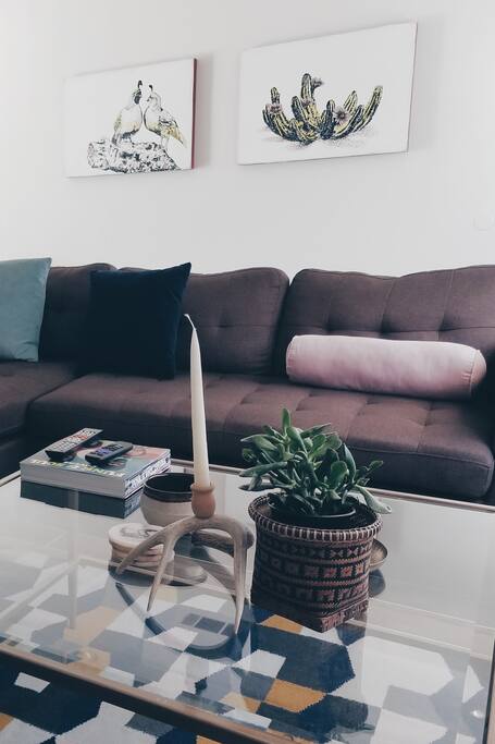 Living room with records, books, and Netflix