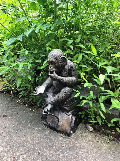 Zen monkey