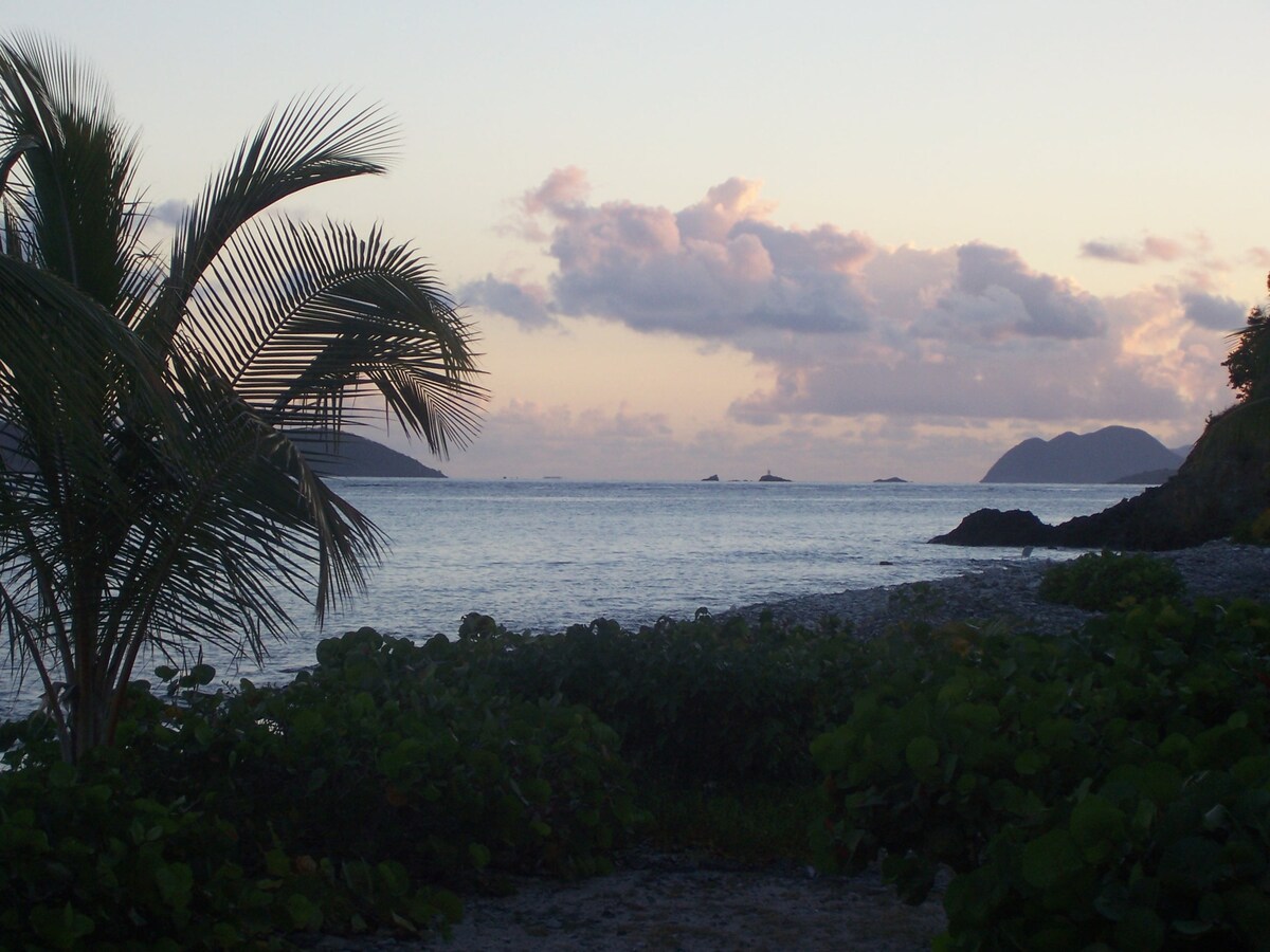 The image captures a scenic view of the Caribbean Sea, framed by lush green foliage and a palm tree. Soft clouds are visible in the sky, reflecting shades of pink and orange as the day transitions to evening. The distant silhouette of hills adds depth to the landscape.