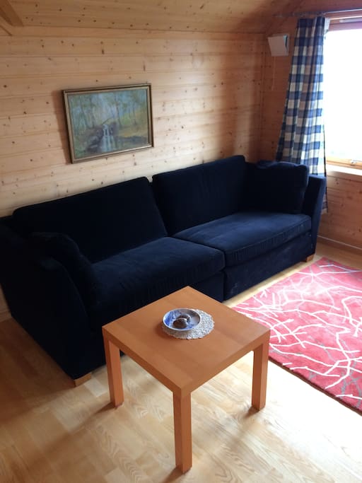 Room 1 w/ coach(also serves as bed) desk, etc.