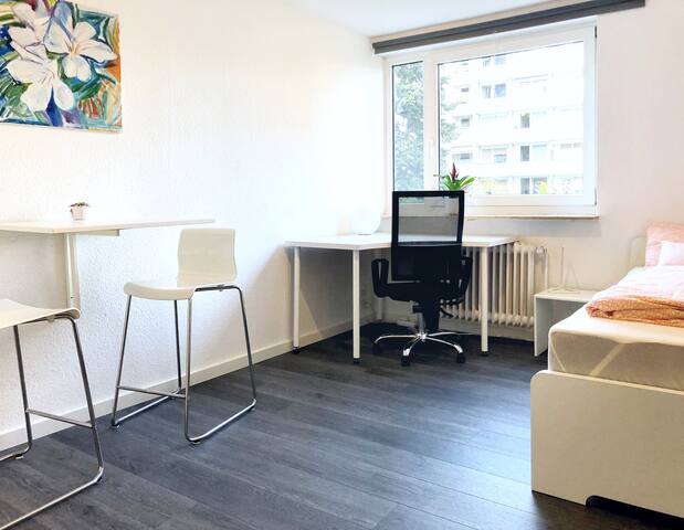 Newly renovated apartment with perfect connection