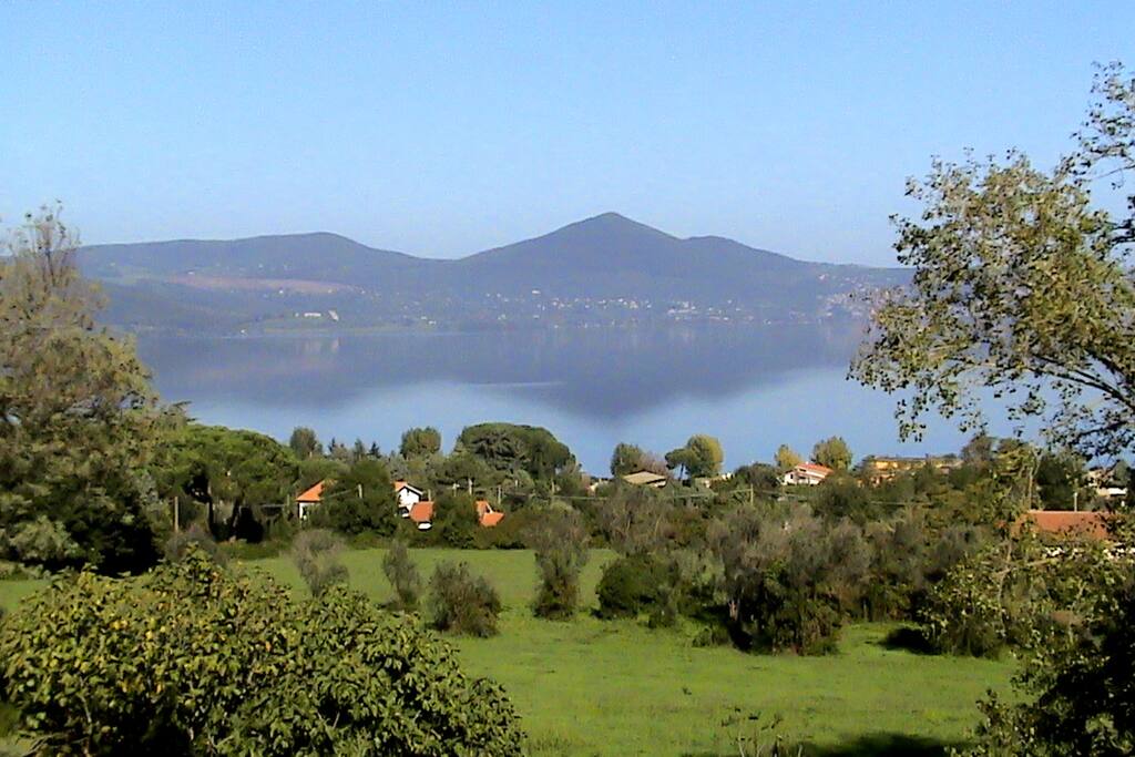 The view from the terrace