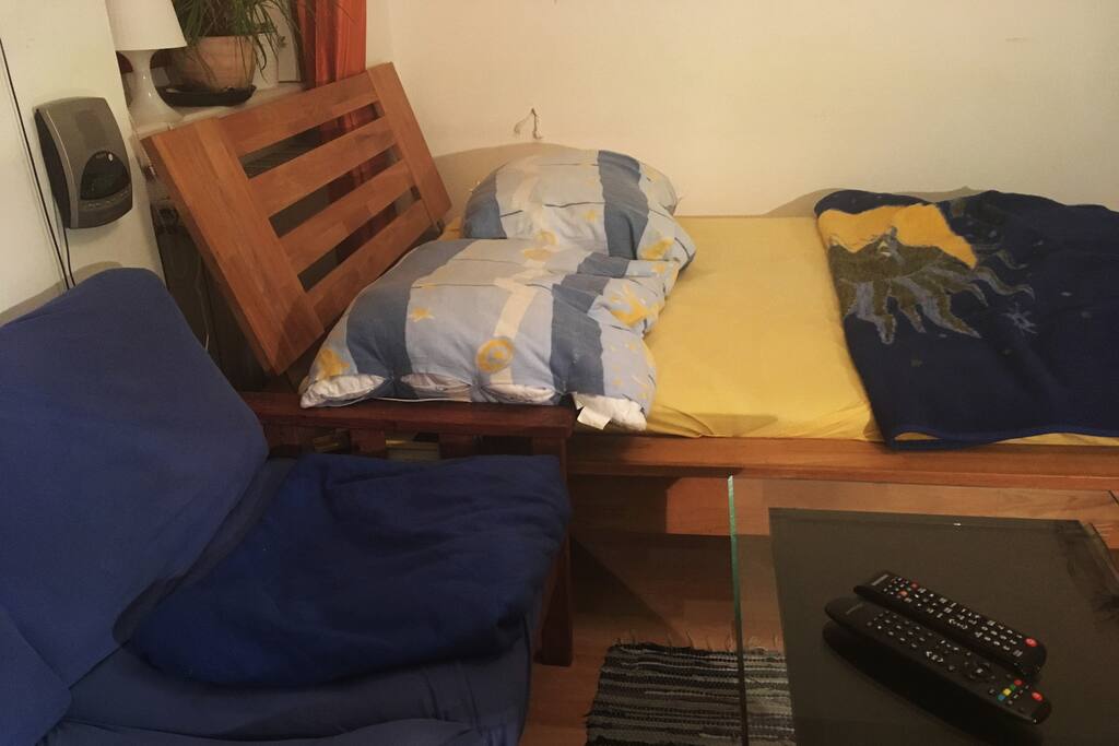 Bed, couch and coffee table