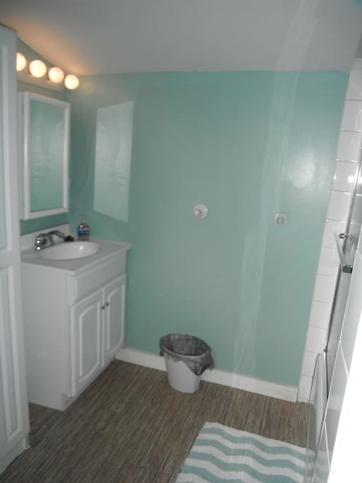 Downstairs Shower and Laundry Room