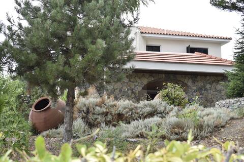 Traditional and Spacious House at Pano Platres