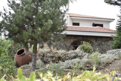 Traditional and Spacious House at Pano Platres