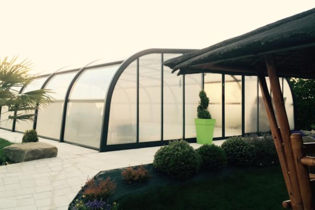 Swimming pool and BBQ area