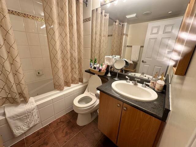 Penthouse w/ Views / Giant Deck on Seawall / Beach gallery image 5