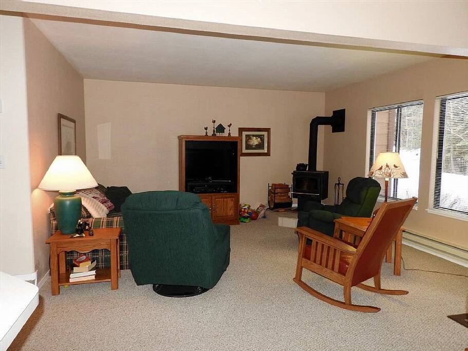 Living room (sofa sleeper, wood stove...)