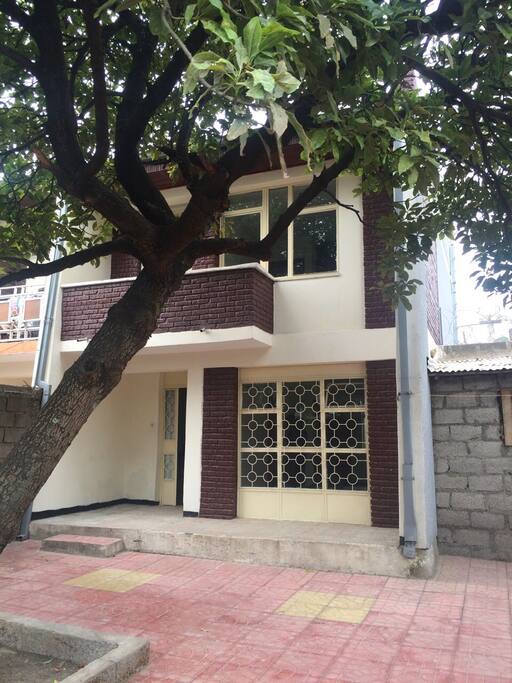front view
