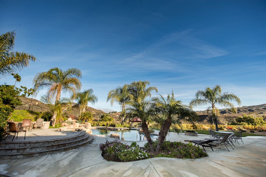 Palms surrounding the pool
