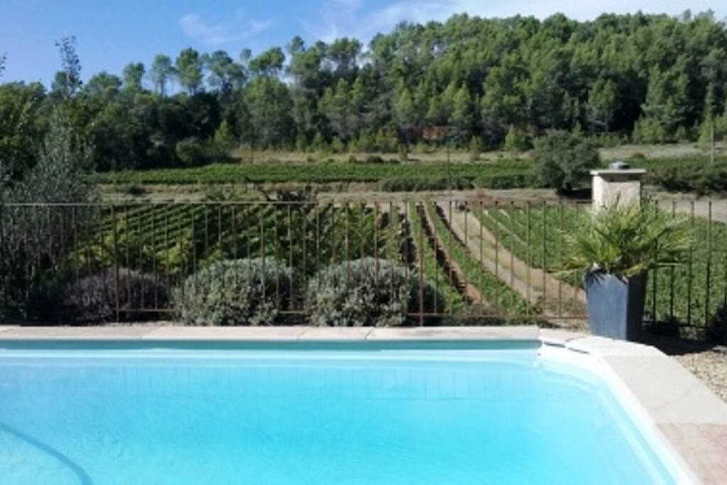 Vue dans la piscine!