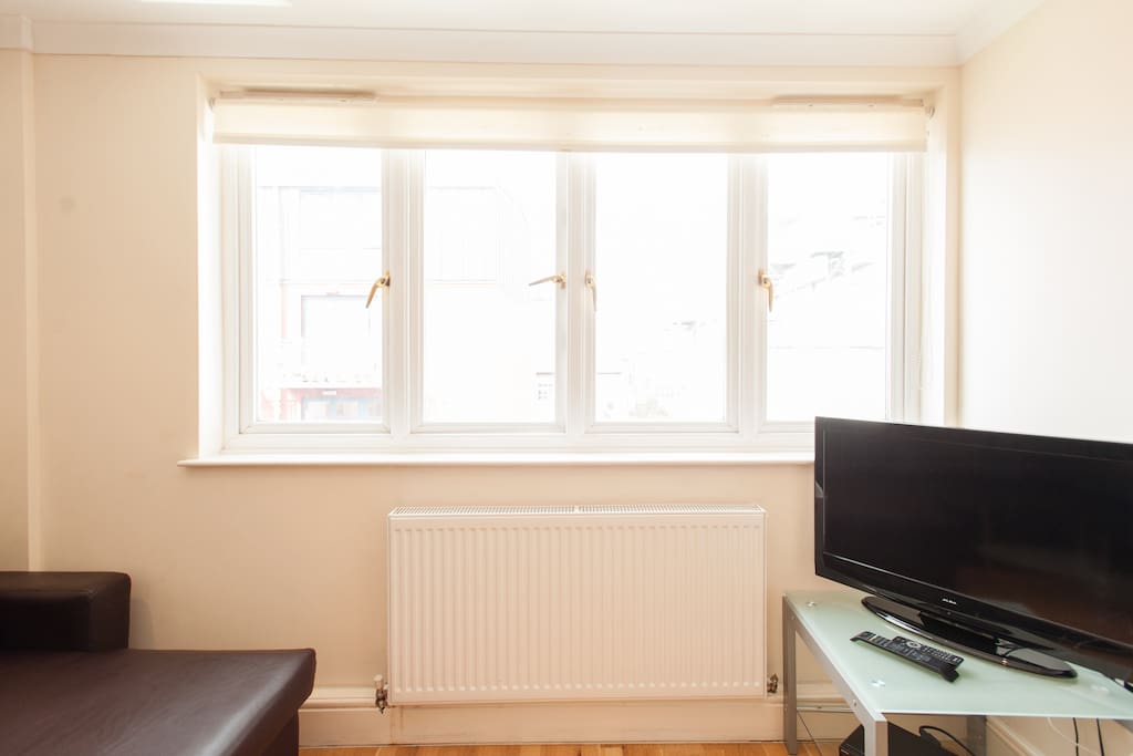 Living Room Window