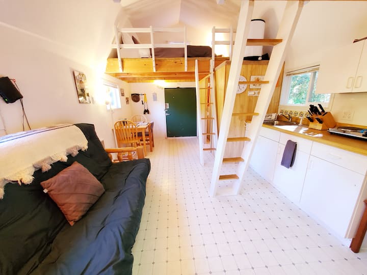 Moonlight Rainforest River Cabin, Relax & Unwind Tiny houses for Rent