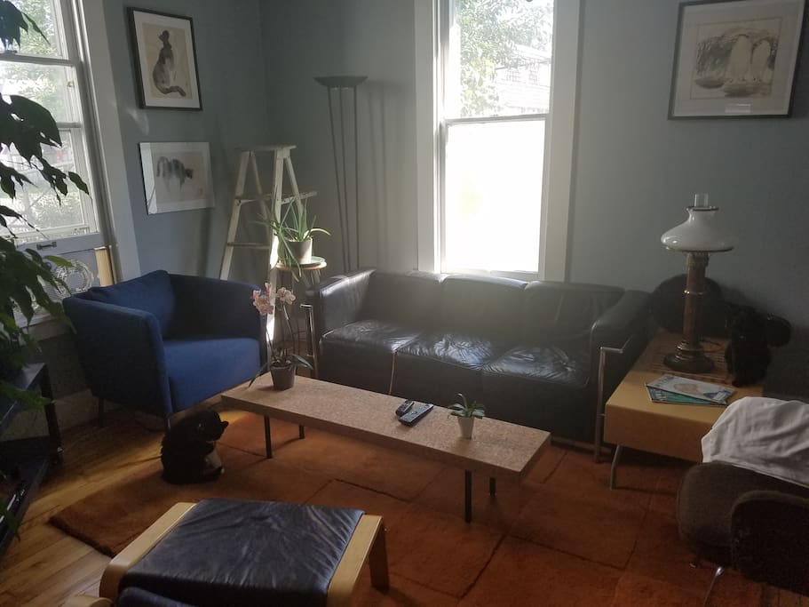 The living room