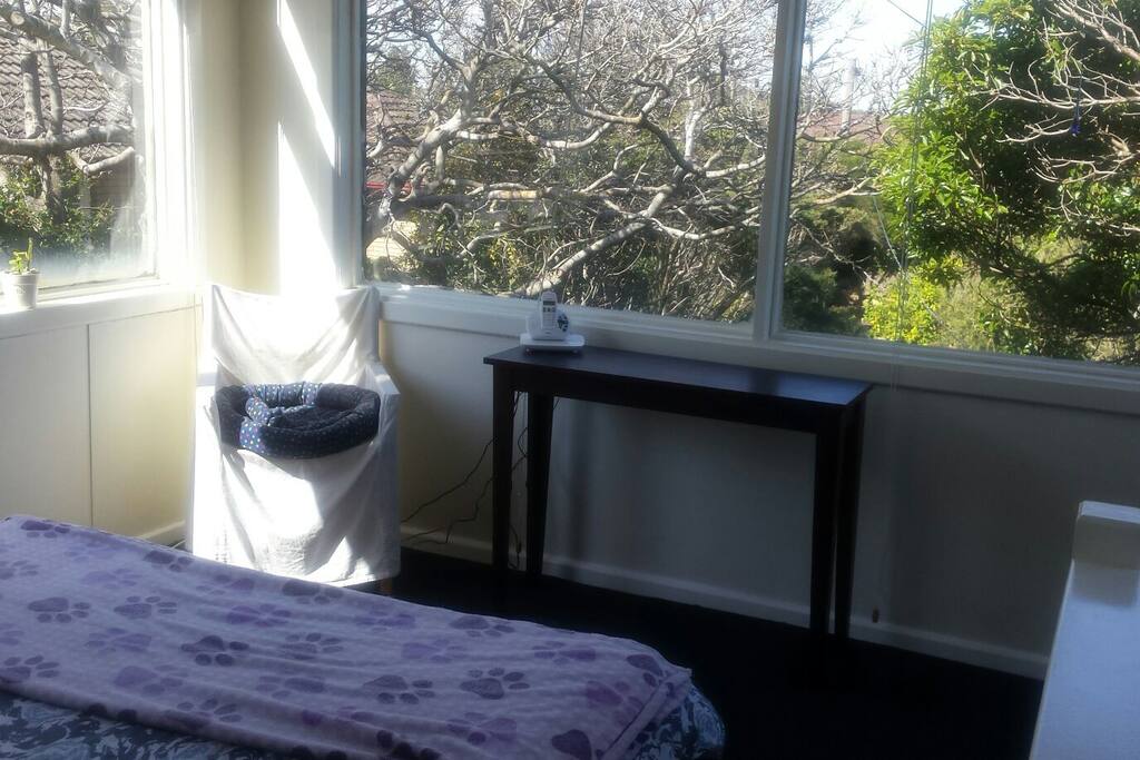 desk with a view
