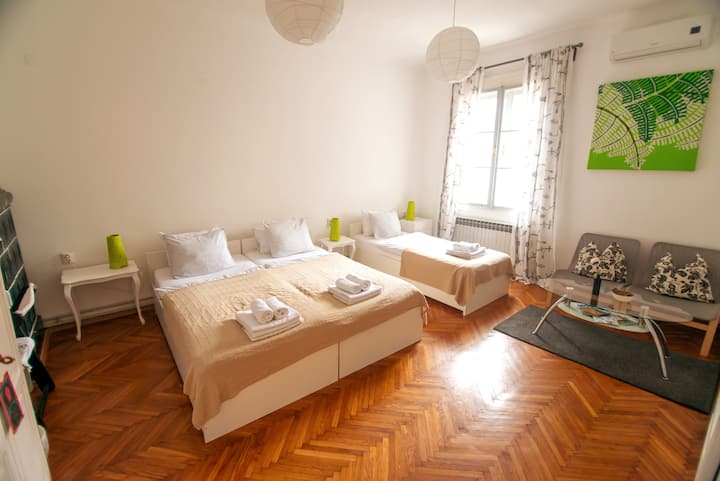City Center Apartment- Free Parking - Zagreb