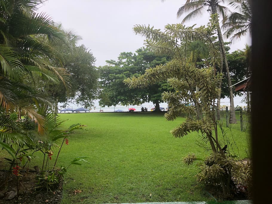 Front Yard