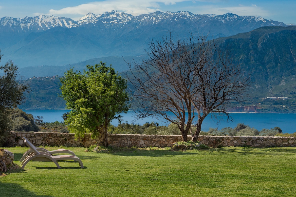 An expansive grassy area features two sun loungers positioned for relaxation, overlooking a serene body of water. In the background, snow-capped mountains rise majestically above the landscape, while a bare tree and a lush green tree add to the natural scenery.