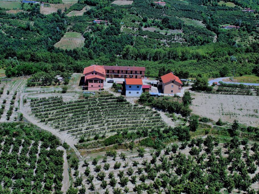 vista aerea su posizione appartamento con la campagna circostante di proprietà noccioleti e vigneti