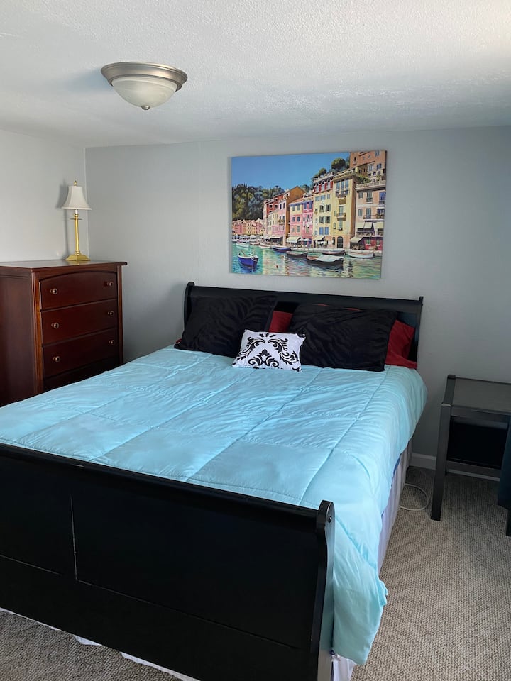 Master bedroom on the main floor with a queen bed