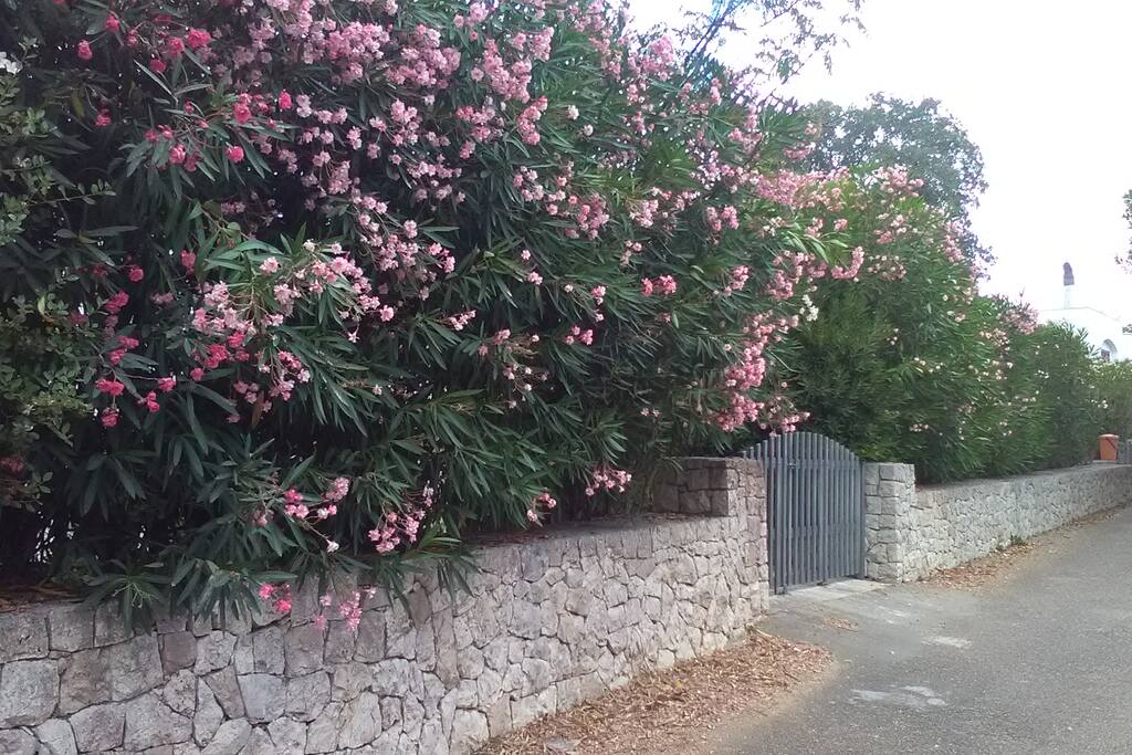 Ingresso esterno, strada chiusa