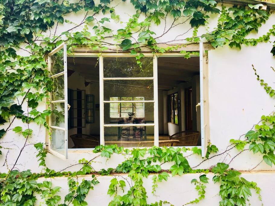 Verandah window