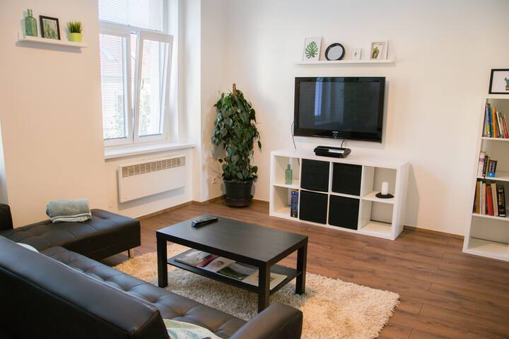 Cozy Aircon. Apartment in Slany-15 min to Airport
