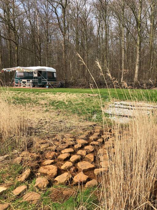 De stapstenen doorgang naar de bosrand waar voornamelijk tenten staan. En Charlie Green heeft z’n plekje verovert!