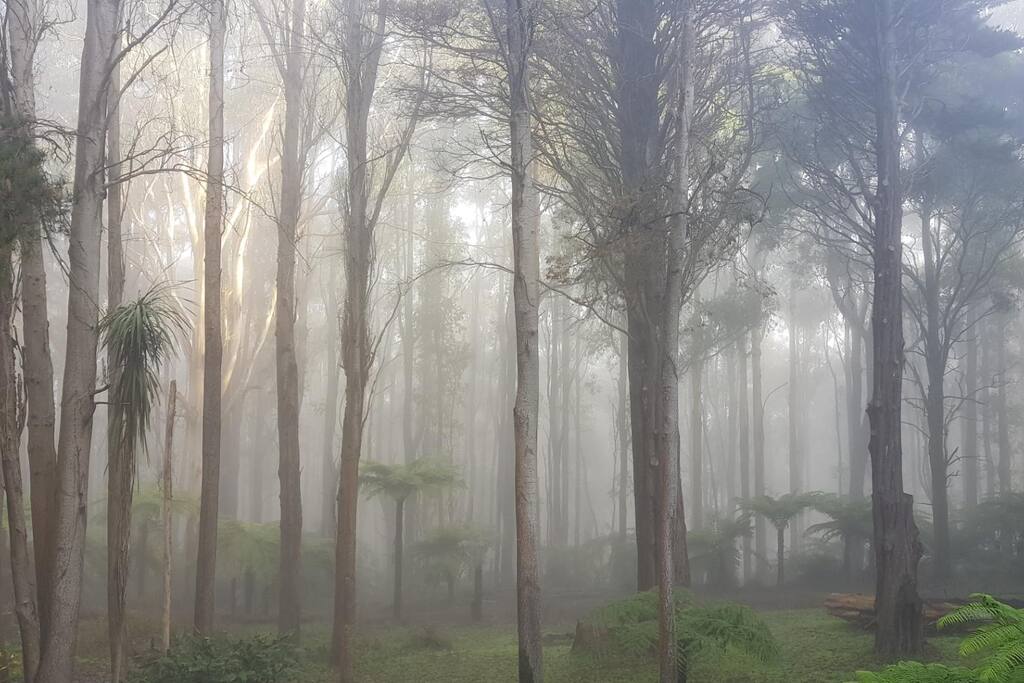 Balcony on a misty mountain.
One Two Three …. ..and Breathe...…
