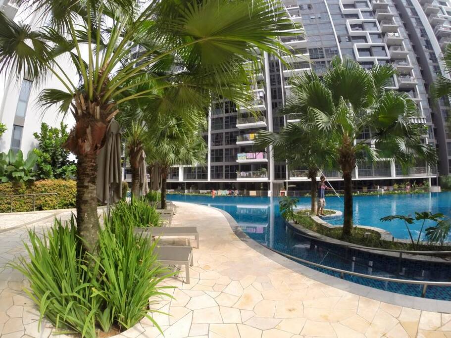 Resort like Swimming Pool