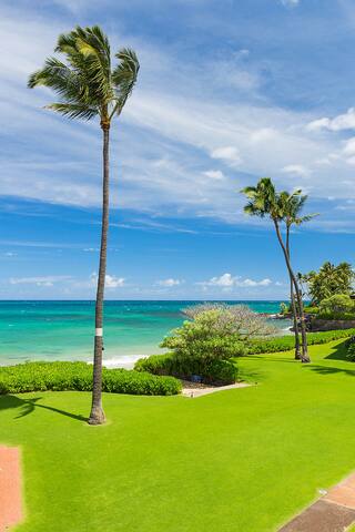 Oceanfront with beach and pool gallery image 4