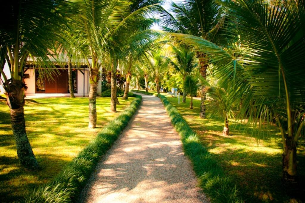Jardim com saída para praia