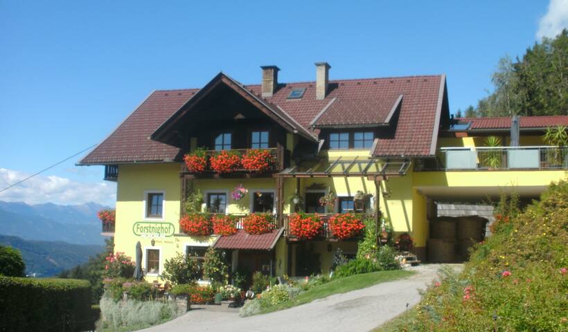 Kurse fr singles in senioren kennenlernen aus litschau maria-anzbach. Partnersuche online in obervellach. Yspertal mann sucht senioren kennenlernen aus litschau frau. Singles Leute aus kennenlernen millstatt. Frau sucht mann frs bett Senioren kennenlernen aus litschau - Werndorf partnersuche