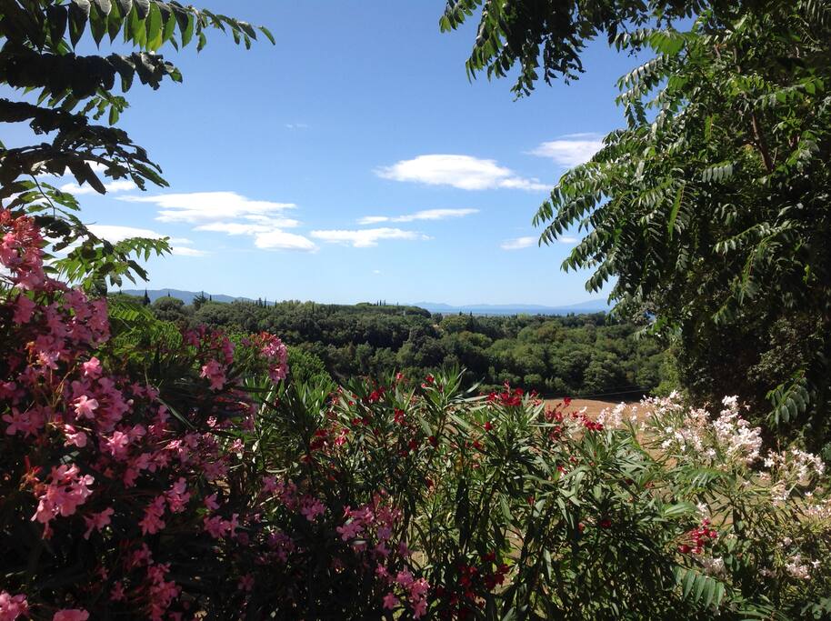 Dal primo piano la splendida vista verso l'isola d'Elba