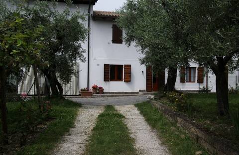 calmasino holiday rentals homes veneto italy airbnb
