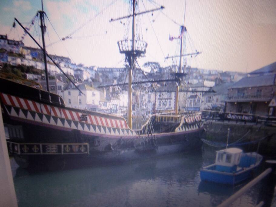 Golden hind