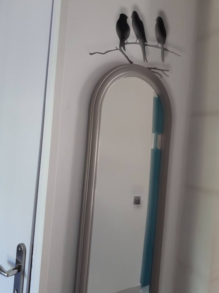 Miroir  entrée  du gîte
