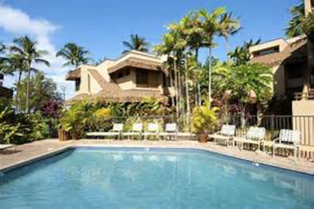 Quiet Private pool & lounge area