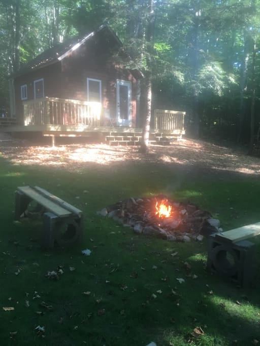 Little Cottage in the Woods