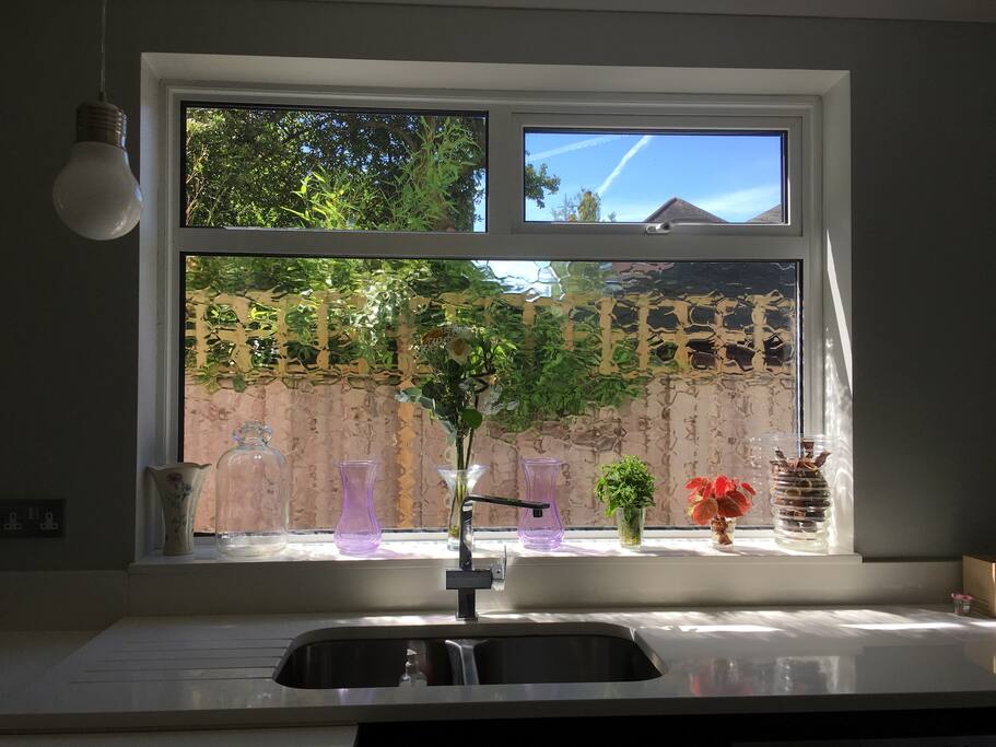 kitchen side window